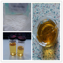 High Purity Steroid Hormone Testosterone Isocaproate